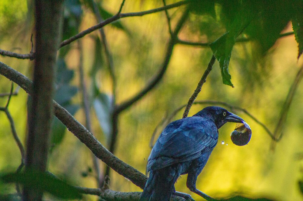 Photograph by Armando Eusebio Valladares Quinteros