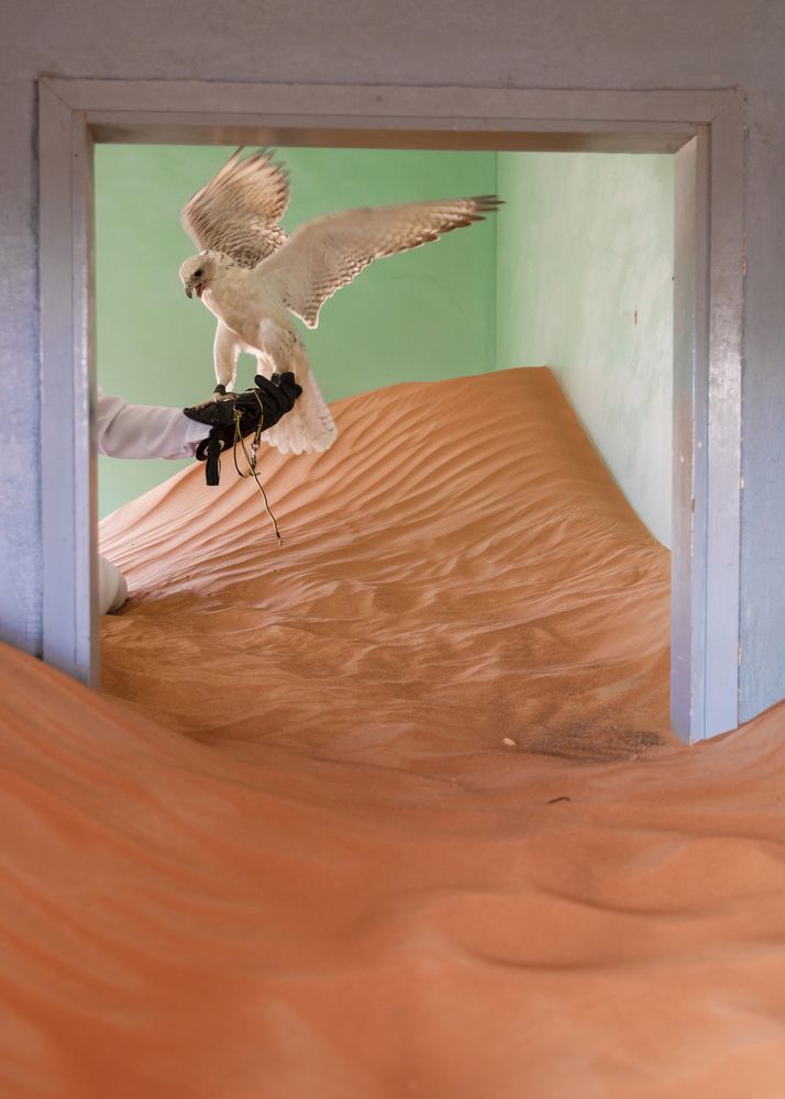 Photograph by Nemah Naji