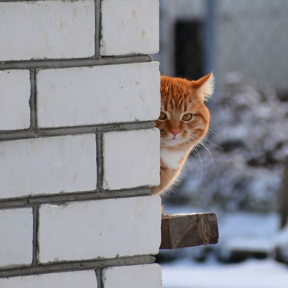 Photograph by Николай Абакумов