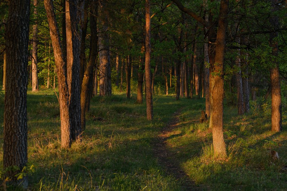 Photograph by Олег Титкин