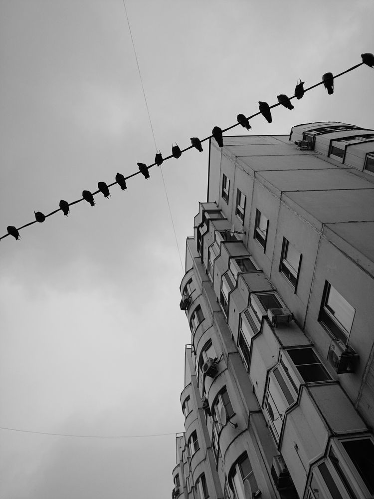 Photograph by Мазымова Елена