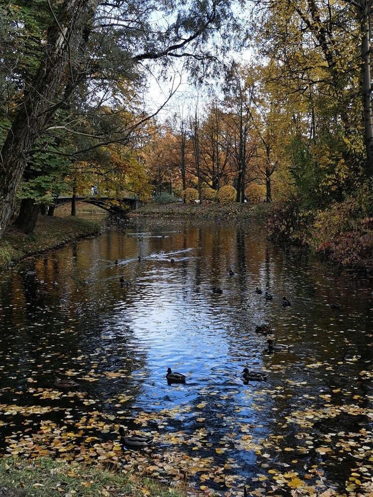 Photograph by Виталий Кореньков