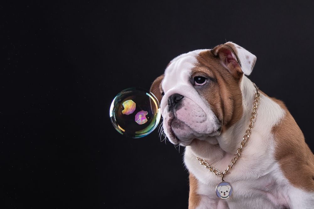 Photograph by наталья залогина