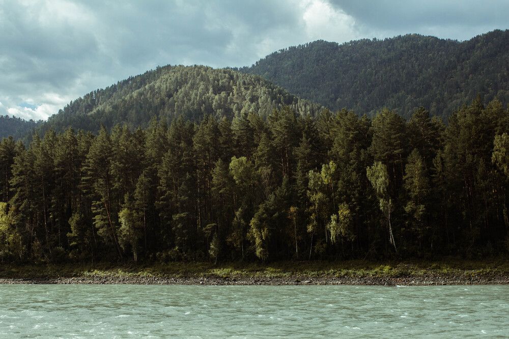 Алтай . Сентябрь 2024 г.