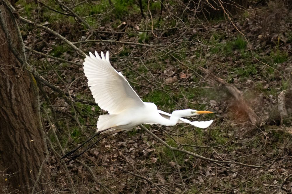 Photograph by Alexandra Kalasaridou