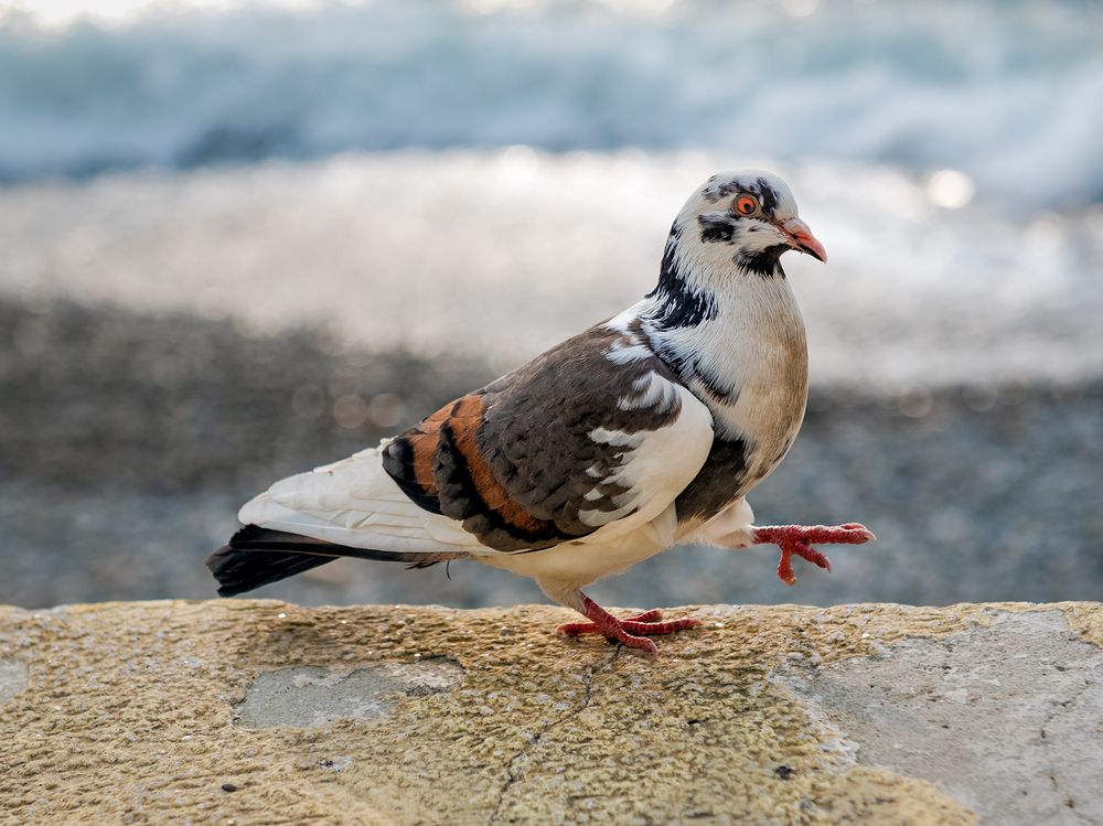 Photograph by Юрий Михайлович Головкин