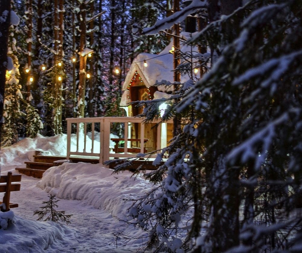 Новогодний лес!