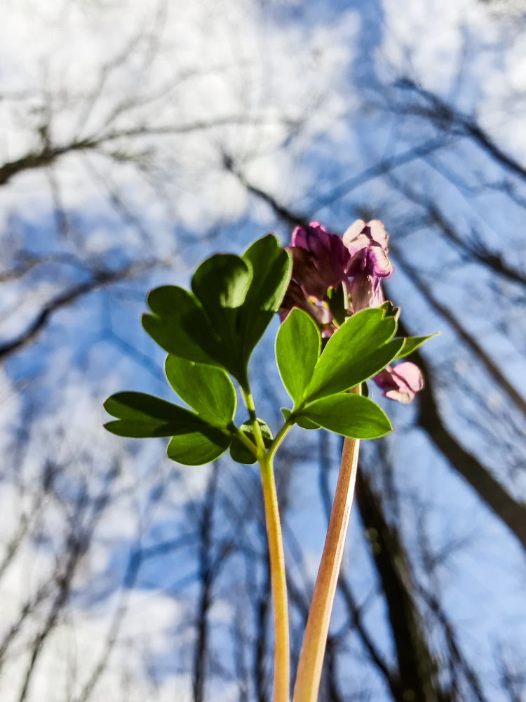 Photograph by Ирина Хлебникова