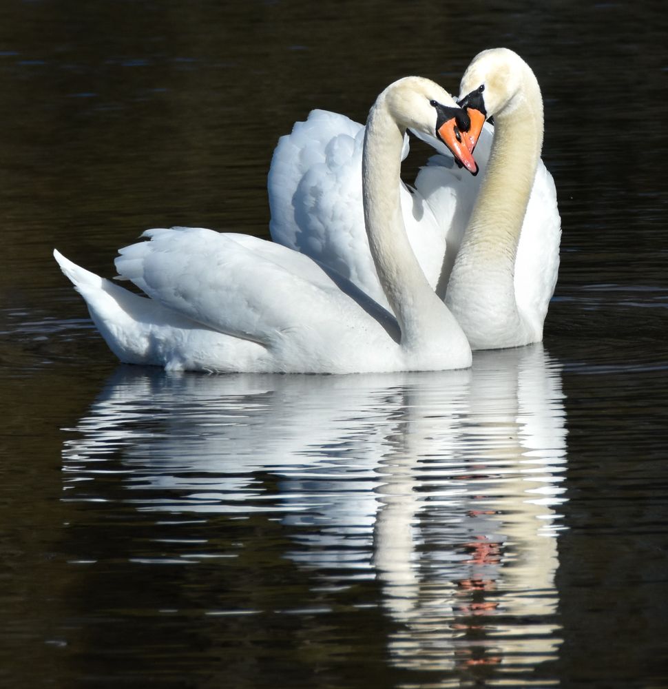 Photograph by Анна Стрелковская