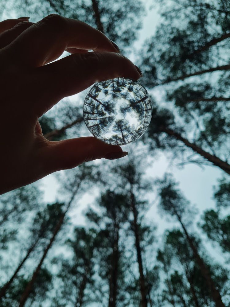 Photograph by Ирина Хлебникова