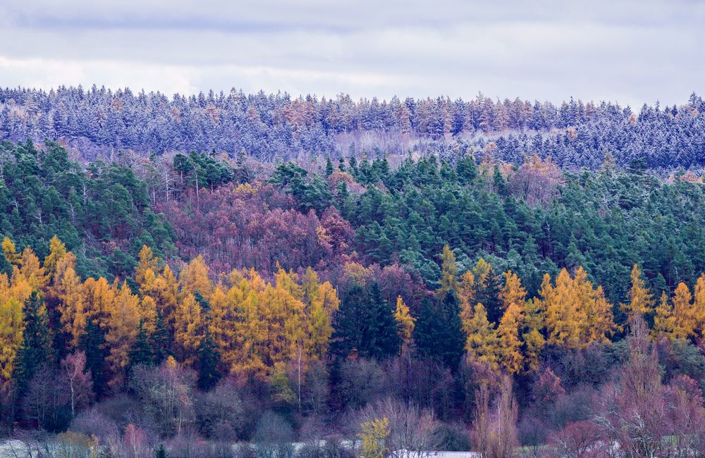 Photograph by Luis Francisco Bravo Olazabal