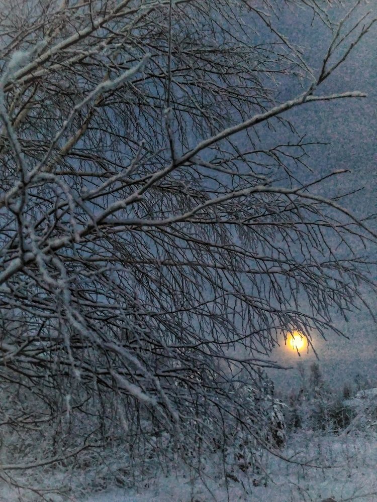 Photograph by Оксана Радзиевская