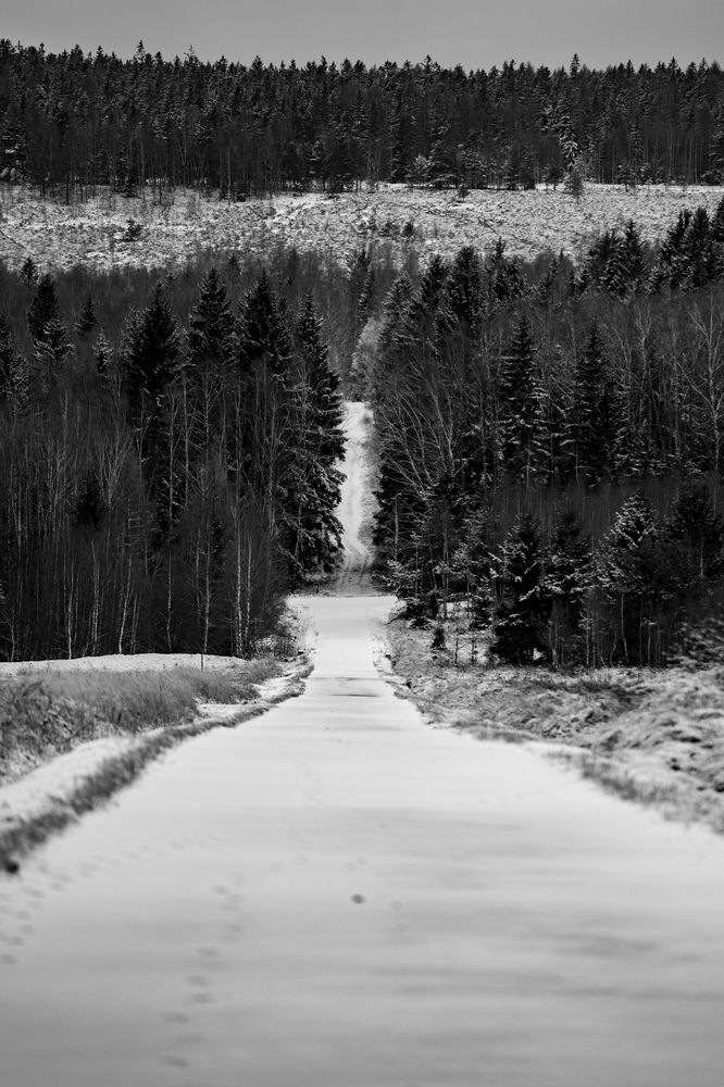 Photograph by Luis Francisco Bravo Olazabal