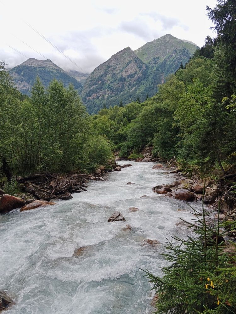 Photograph by Галина Григорьева