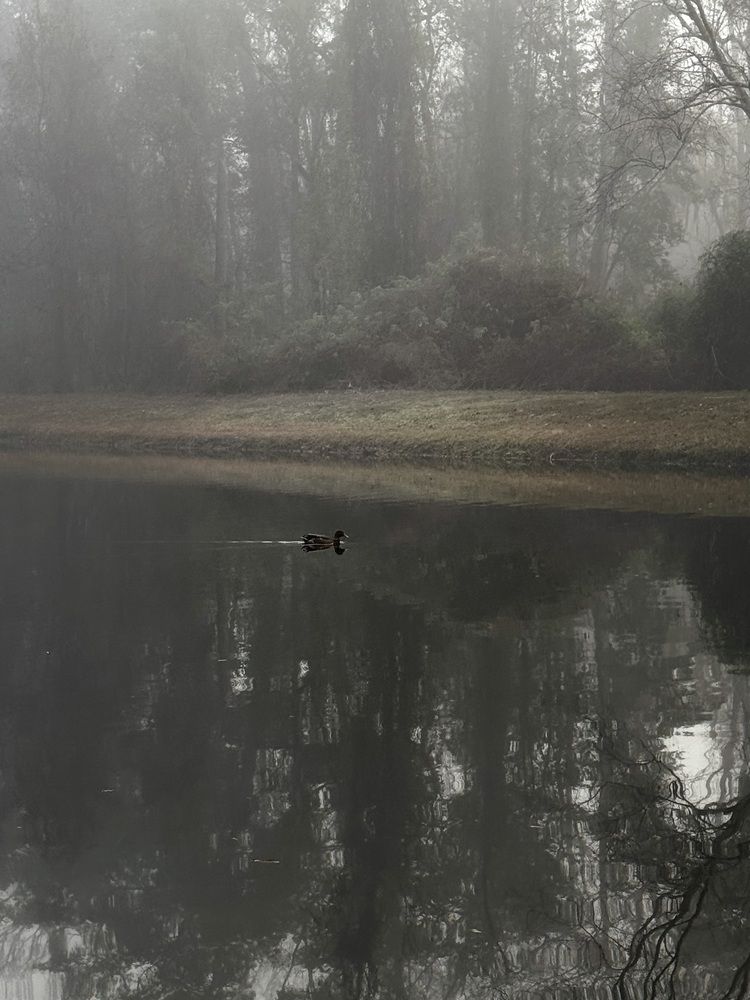 Photograph by Mariia Kirillova