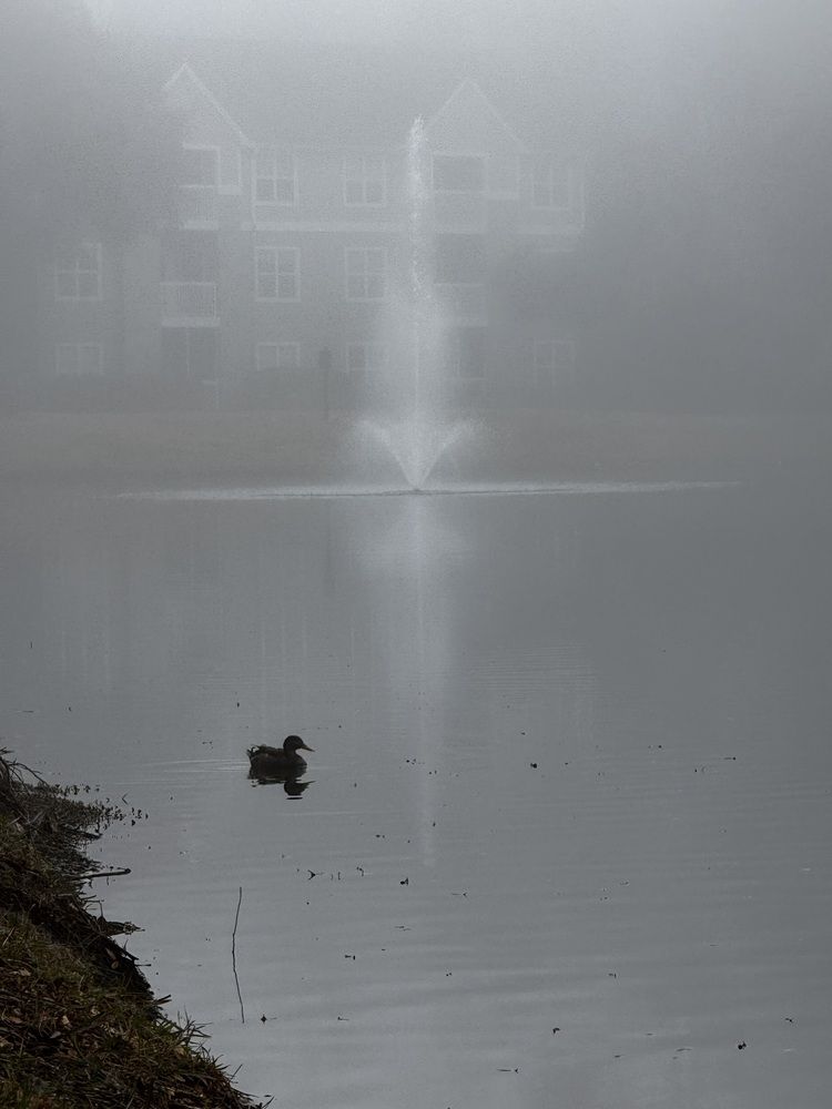 Photograph by Mariia Kirillova