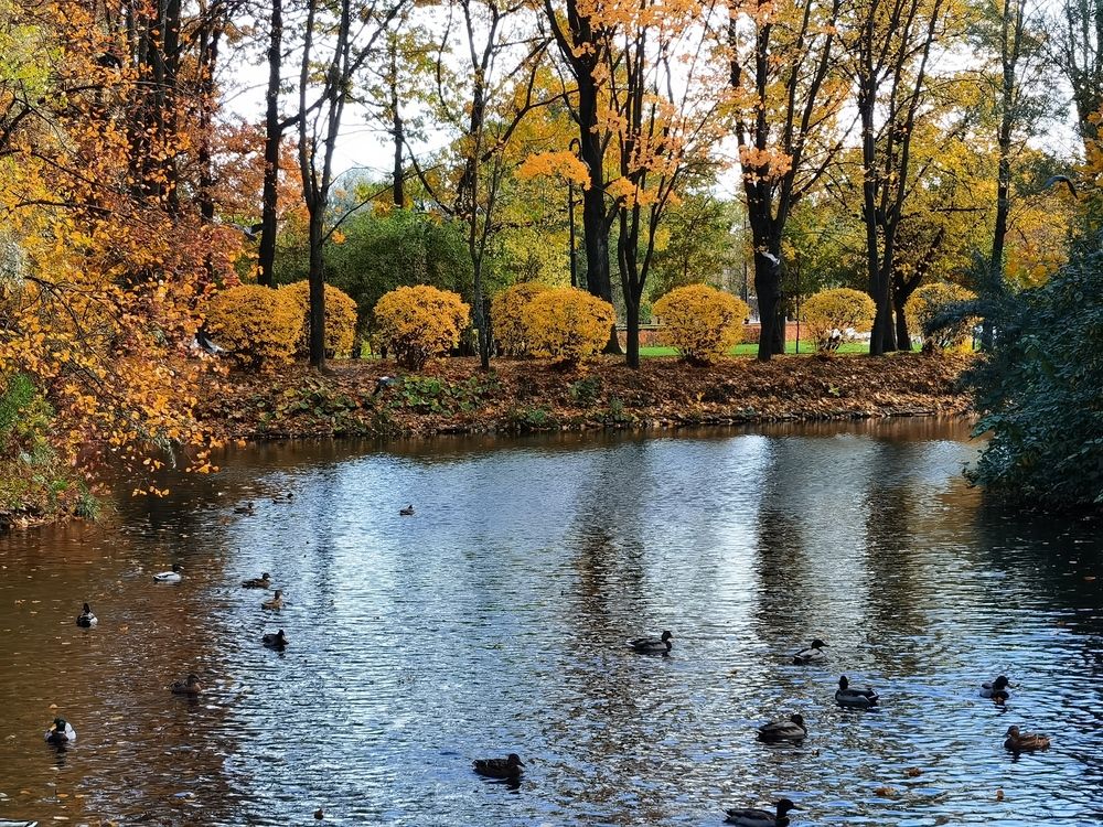 Photograph by Виталий Кореньков