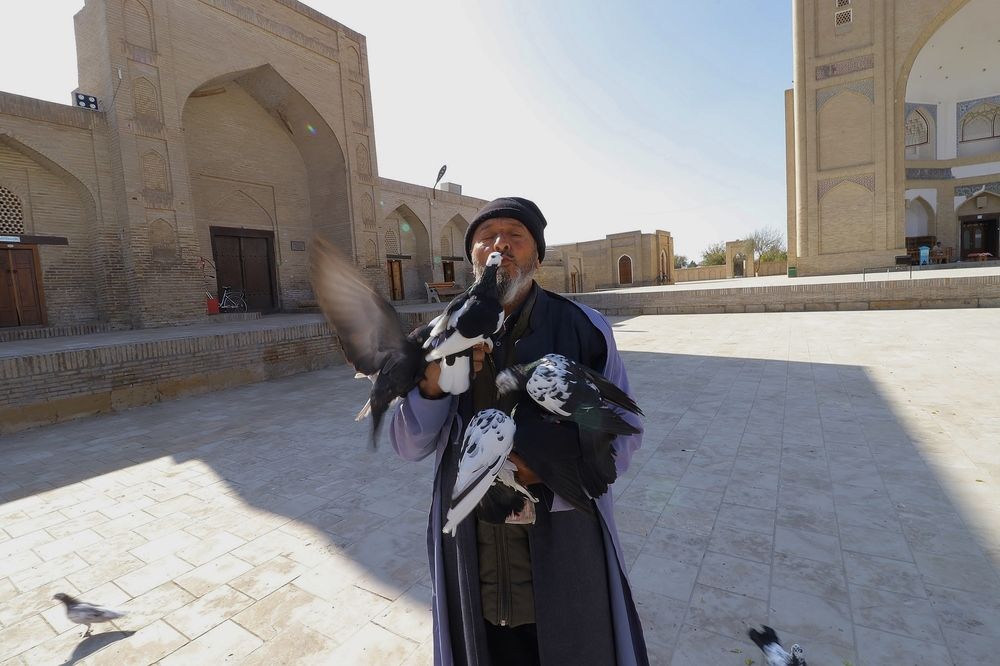 Голуби в Чор-Бакр, Бухара (Узбекистан)