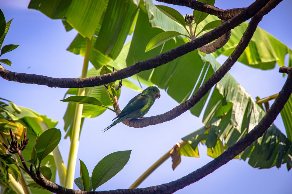 Photograph by Tina Domingos