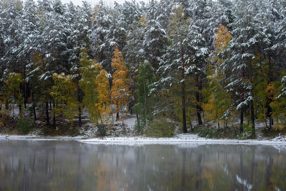 Photograph by Максим Ватрушкин