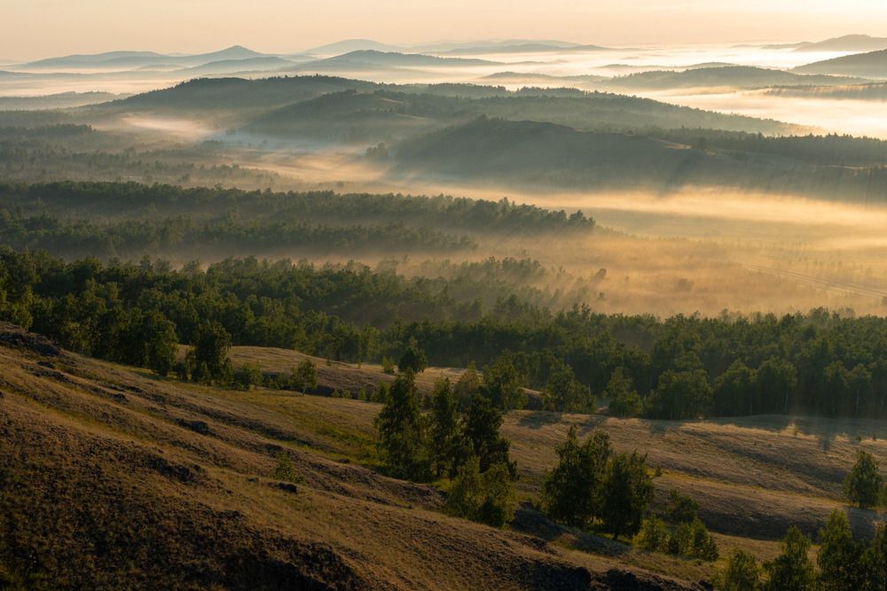 Photograph by Максим Ватрушкин