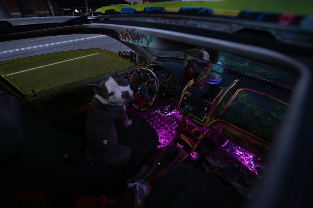 Through Curious Eyes