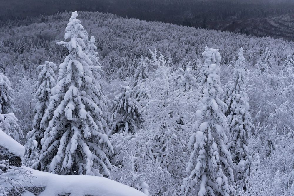 Photograph by Максим Ватрушкин