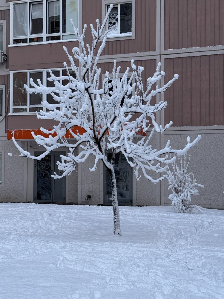 Photograph by Александр Мельниченко