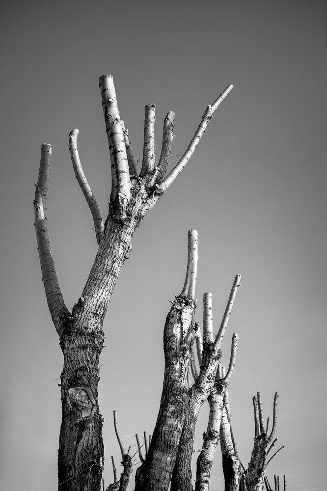 Photograph by Языкова Евгения