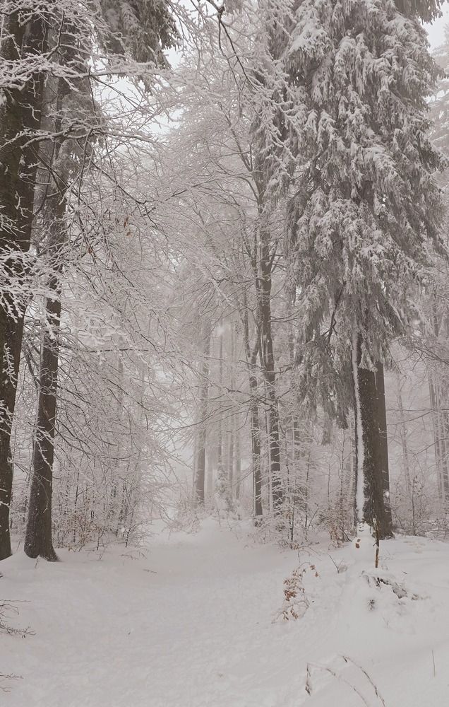 Photograph by Светлана