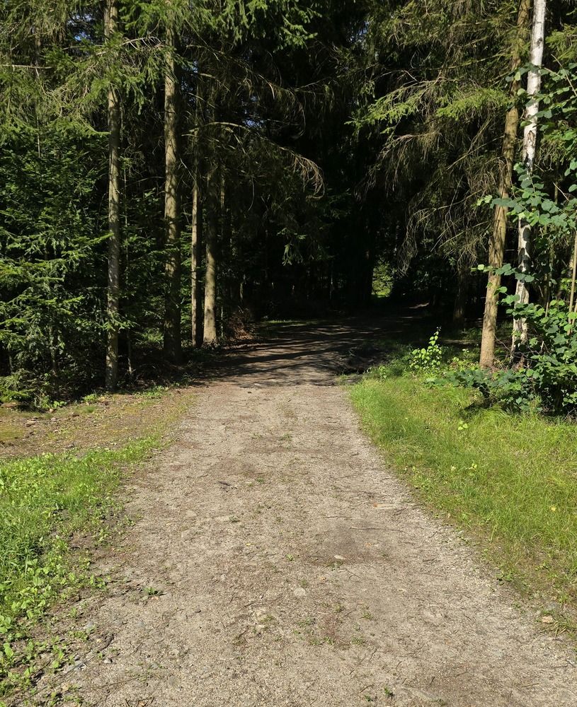 Photograph by Светлана