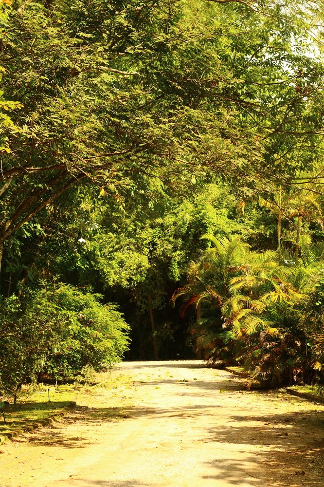 Photograph by Adrielly Mendes Abade