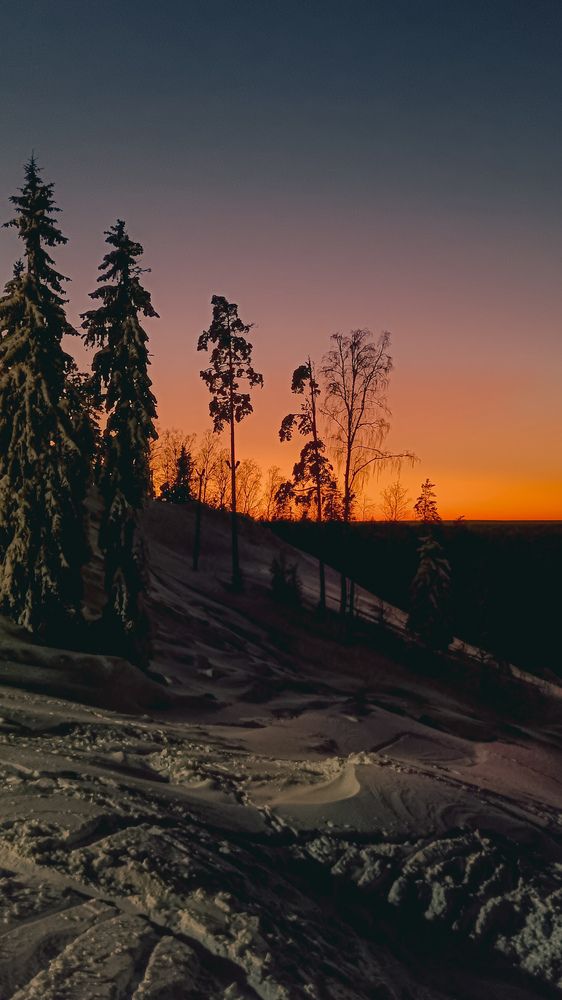 Photograph by Ольга Леонова