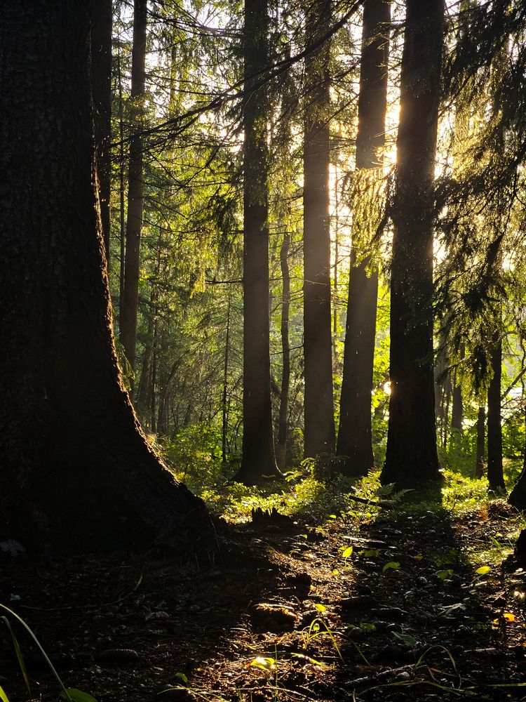 Photograph by Анастасия Алтабаева