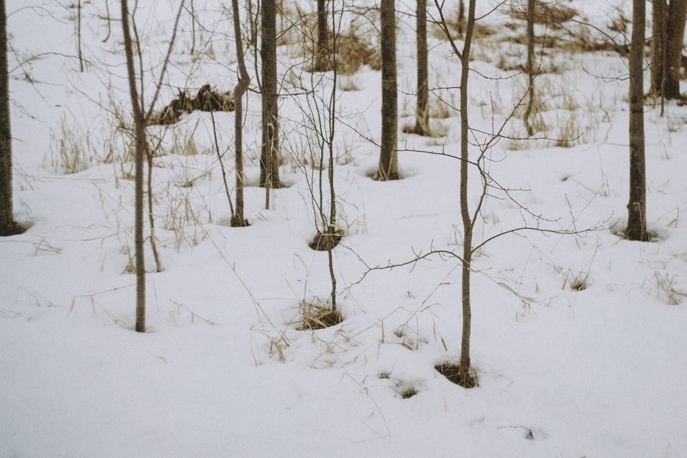 Photograph by Ольга Леонова