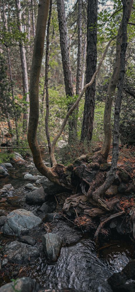 Photograph by Павел Ермилов