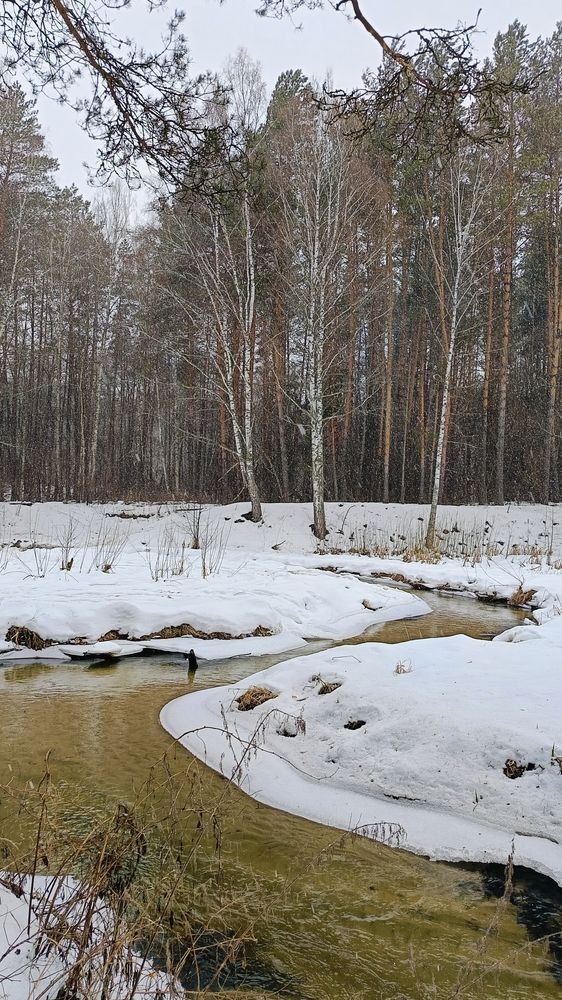 Photograph by Татьяна Пятернёва