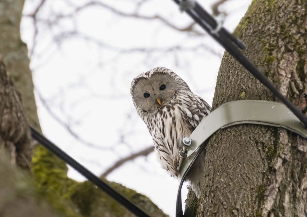 Photograph by Валентина Куренкова