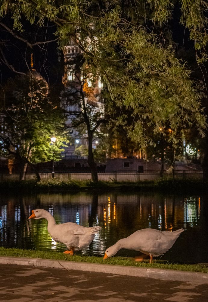 Фотография автора Оксана Белозерская