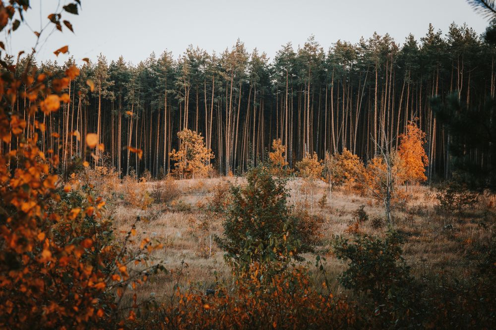 Photograph by Денис Мазычев