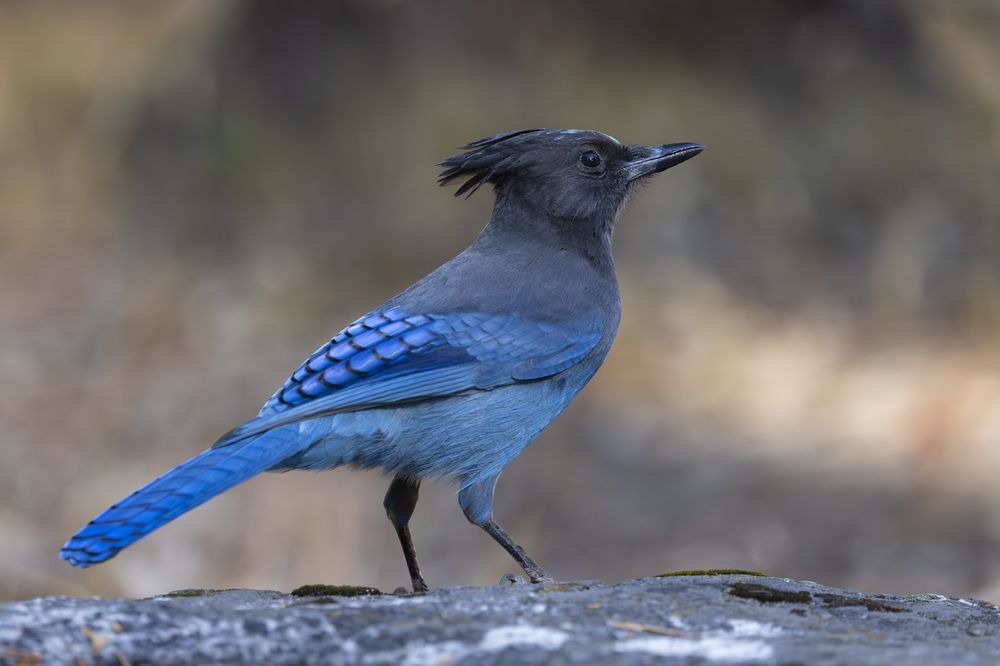 Photograph by MARÍA CECILIA REY