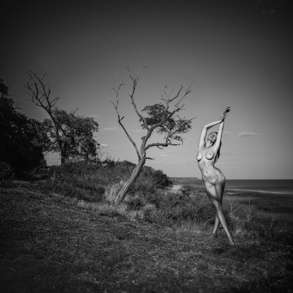 Фотография автора Олег Сотник