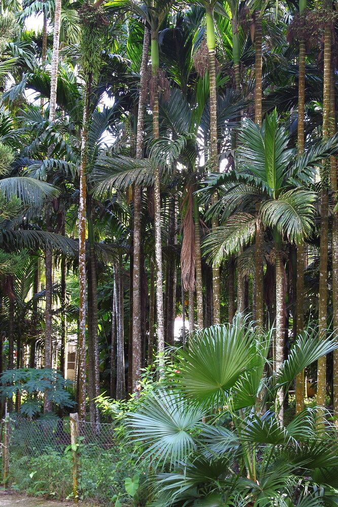 Photograph by Игорь Павель