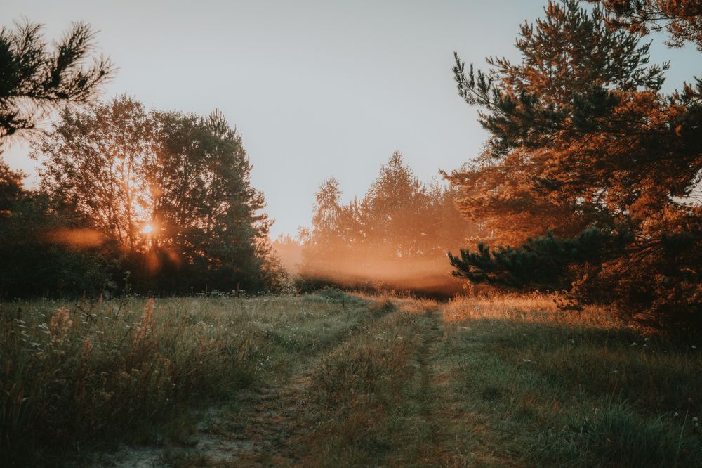 Photograph by Денис Мазычев