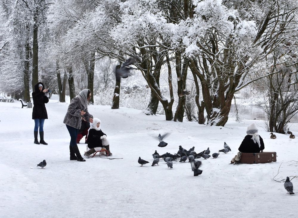 Photograph by Татьяна Абабкова