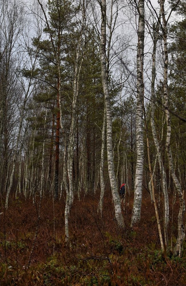 Photograph by Татьяна Абабкова