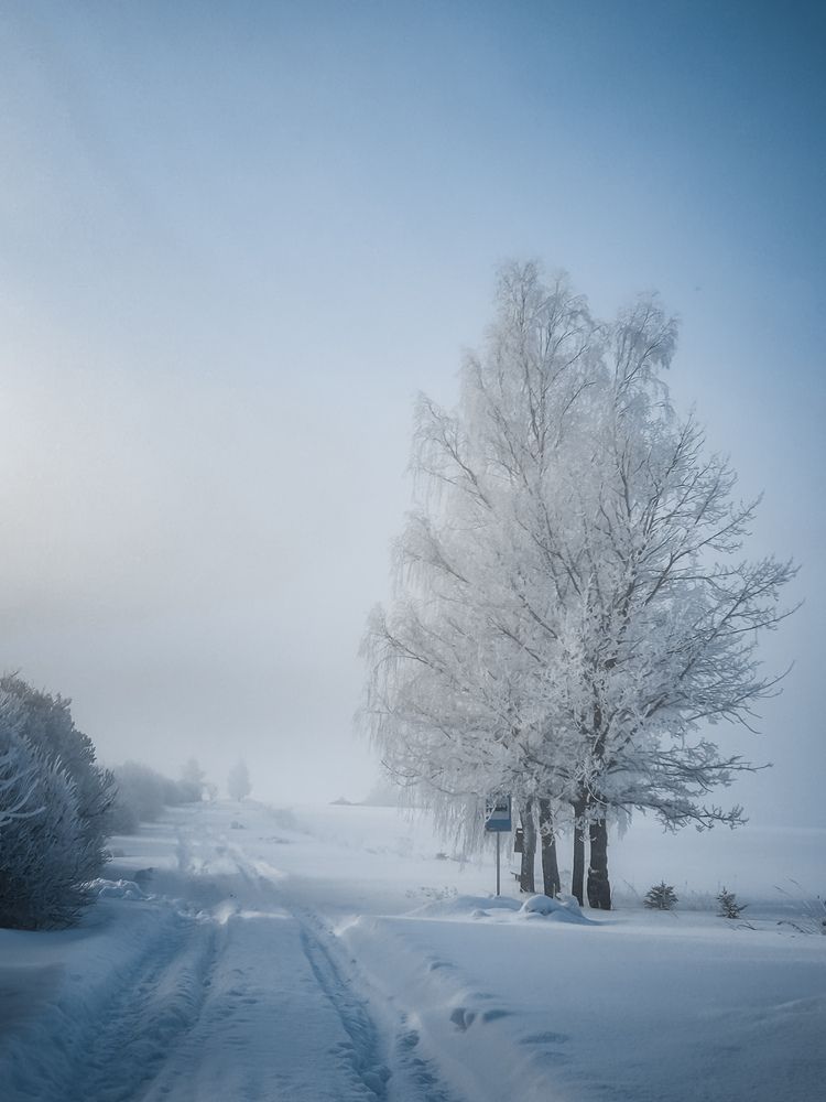 Photograph by Вася Кондратов
