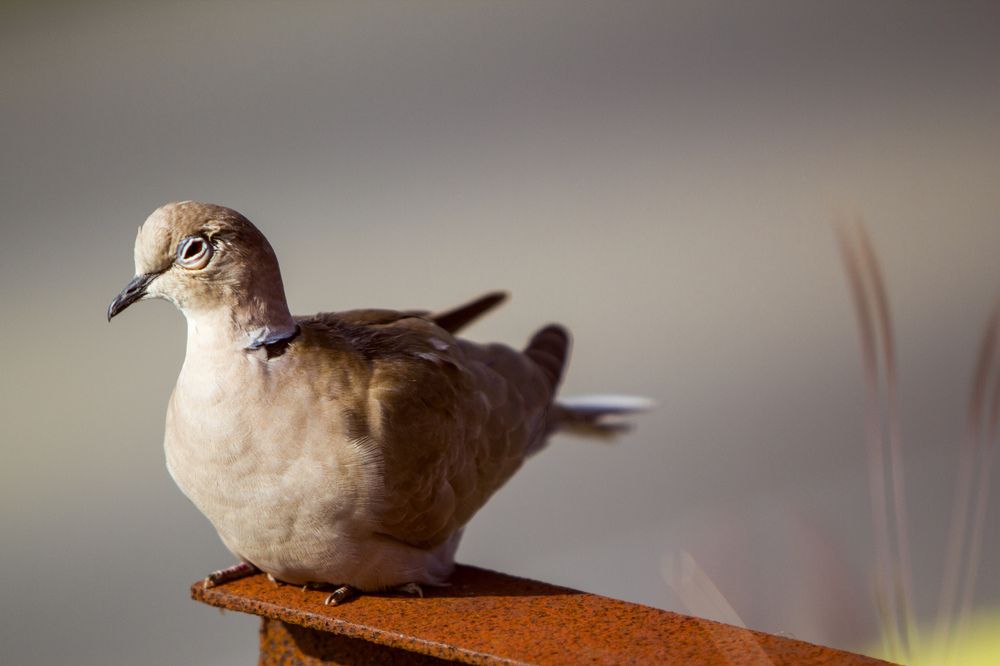 Photograph by Evelyn Carnot Montes