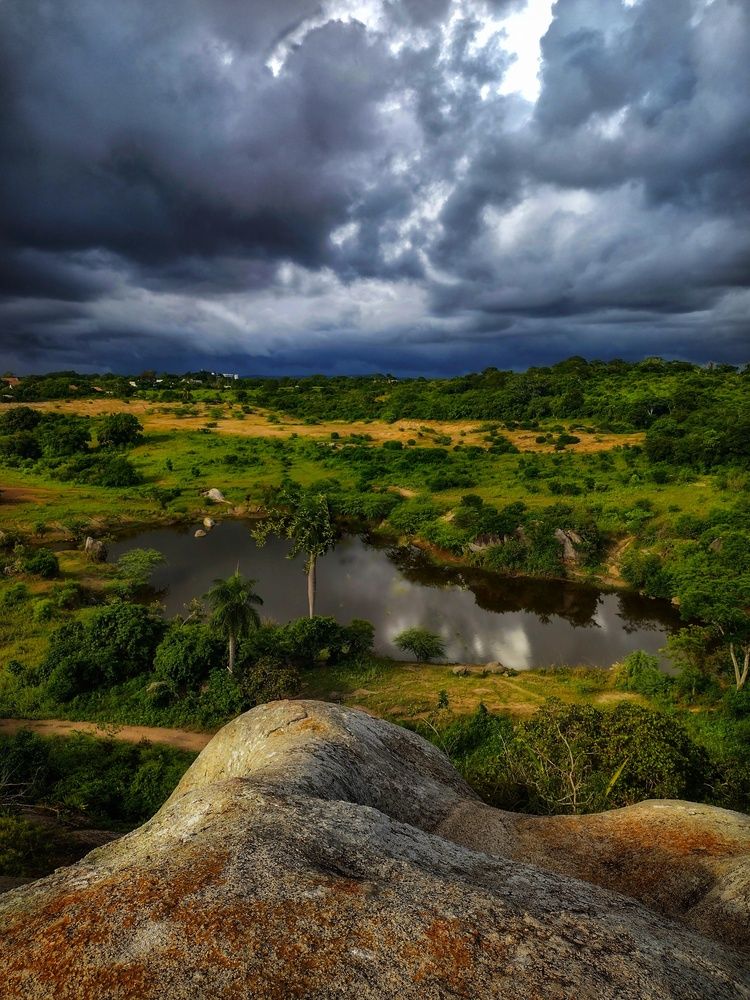 Photograph by Niedja Araujo