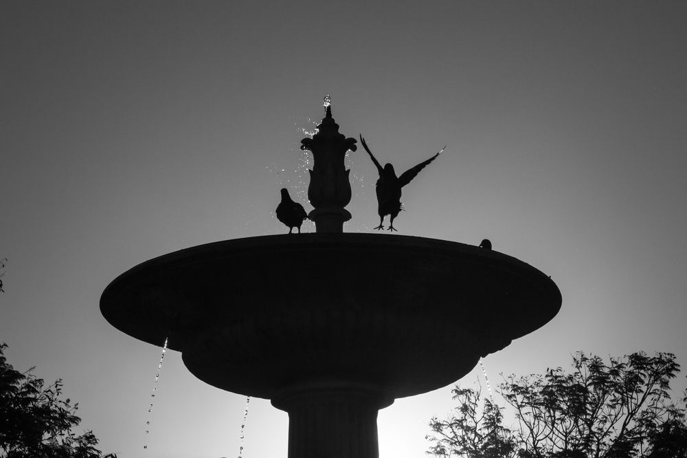 Photograph by Evelyn Carnot Montes